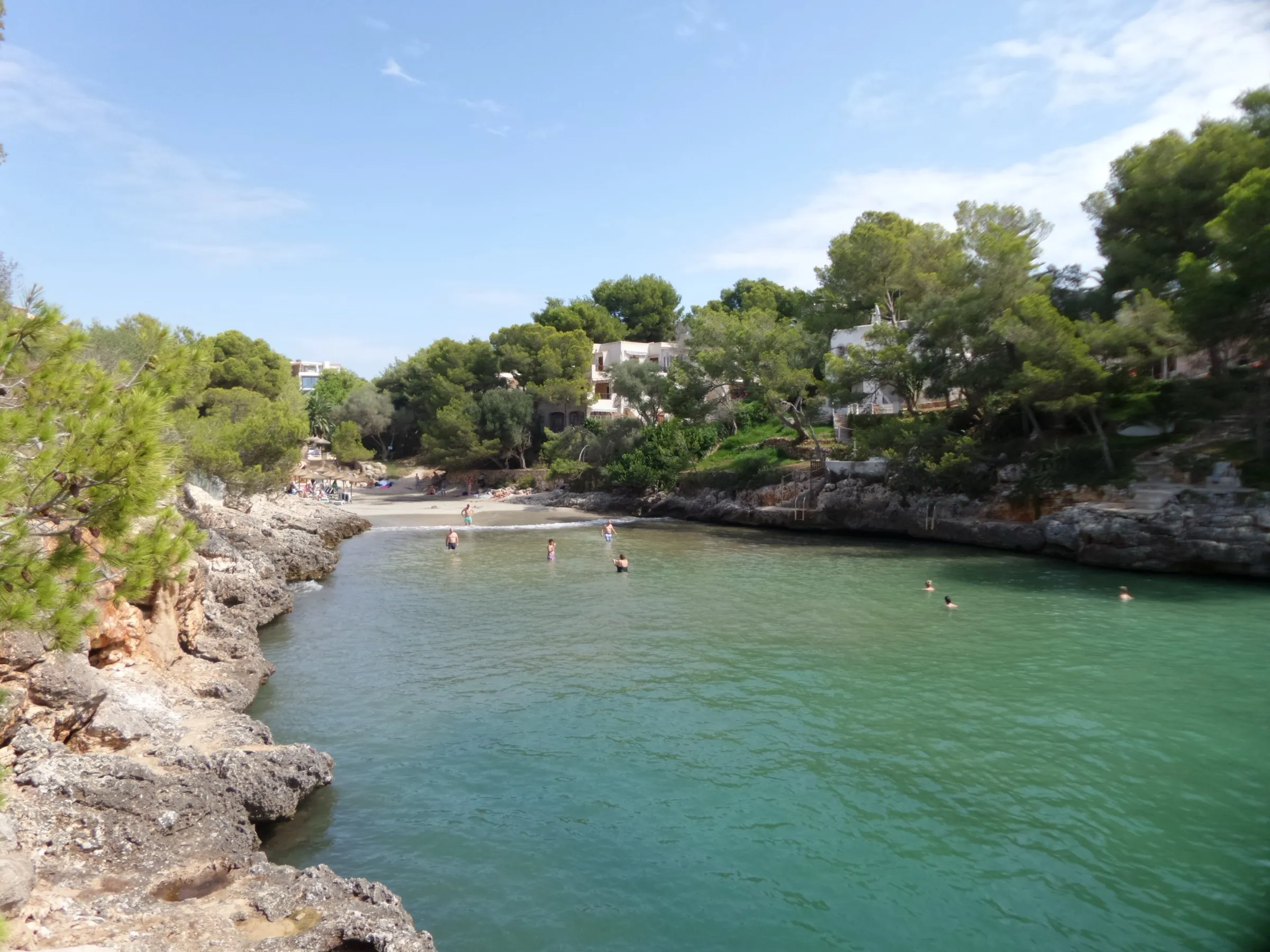 The Cala Serena inlet from the rocks, with pale green water and the small beach at the end among pines