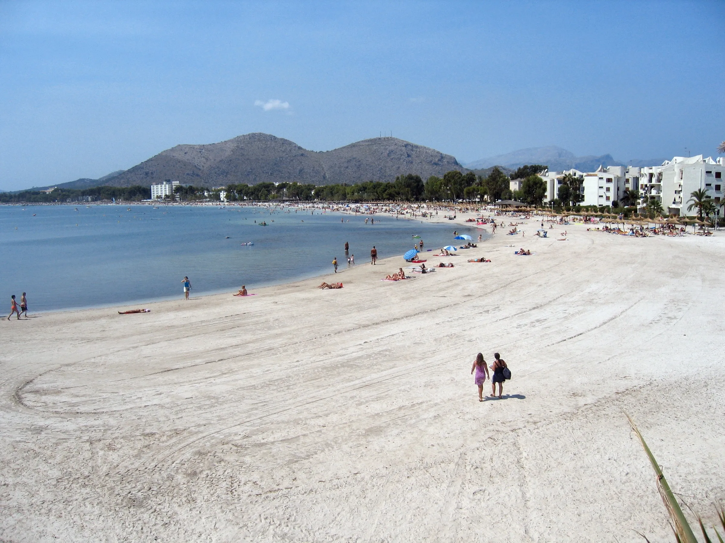 La Platja d'Alcúdia vista desde el Port, con la arena blanca que se curva a lo largo de la bahía y las montañas al fondo