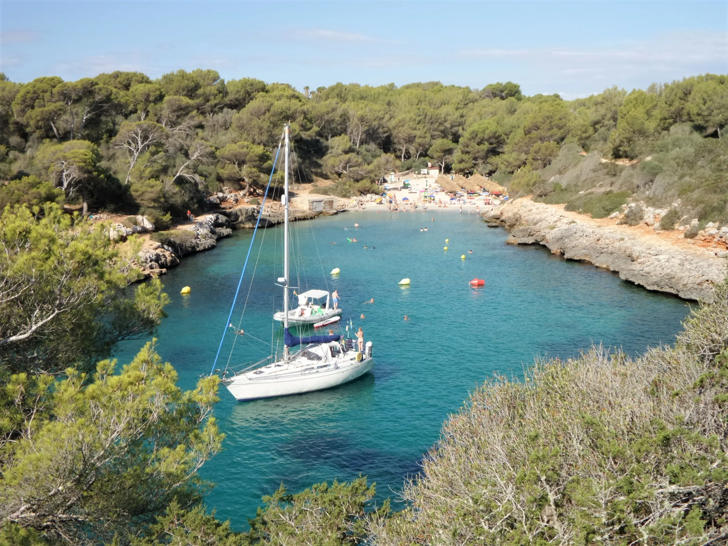 Cala Sa Nau desde lo alto del acantilado, con veleros fondeados en el agua turquesa y la playa al fondo entre pinos