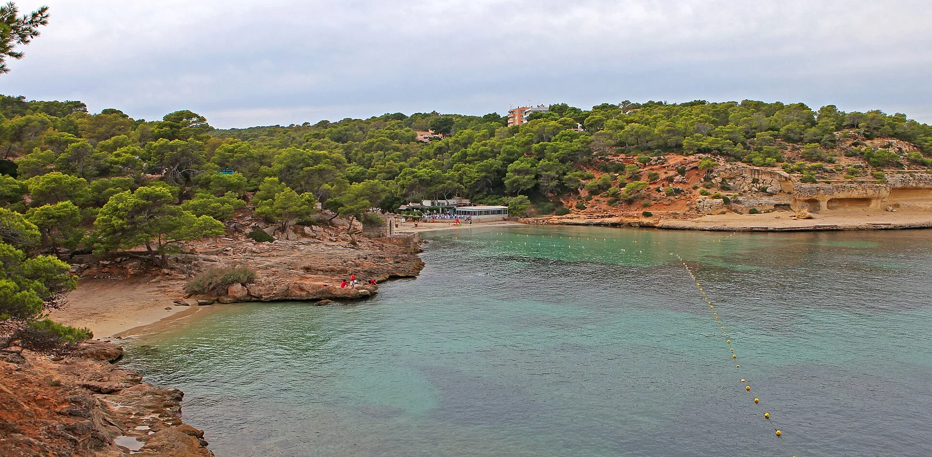 Vista de Cala Portals Vells desde el lado sur, con el agua verde azulada, la arena al fondo y el pinar alrededor