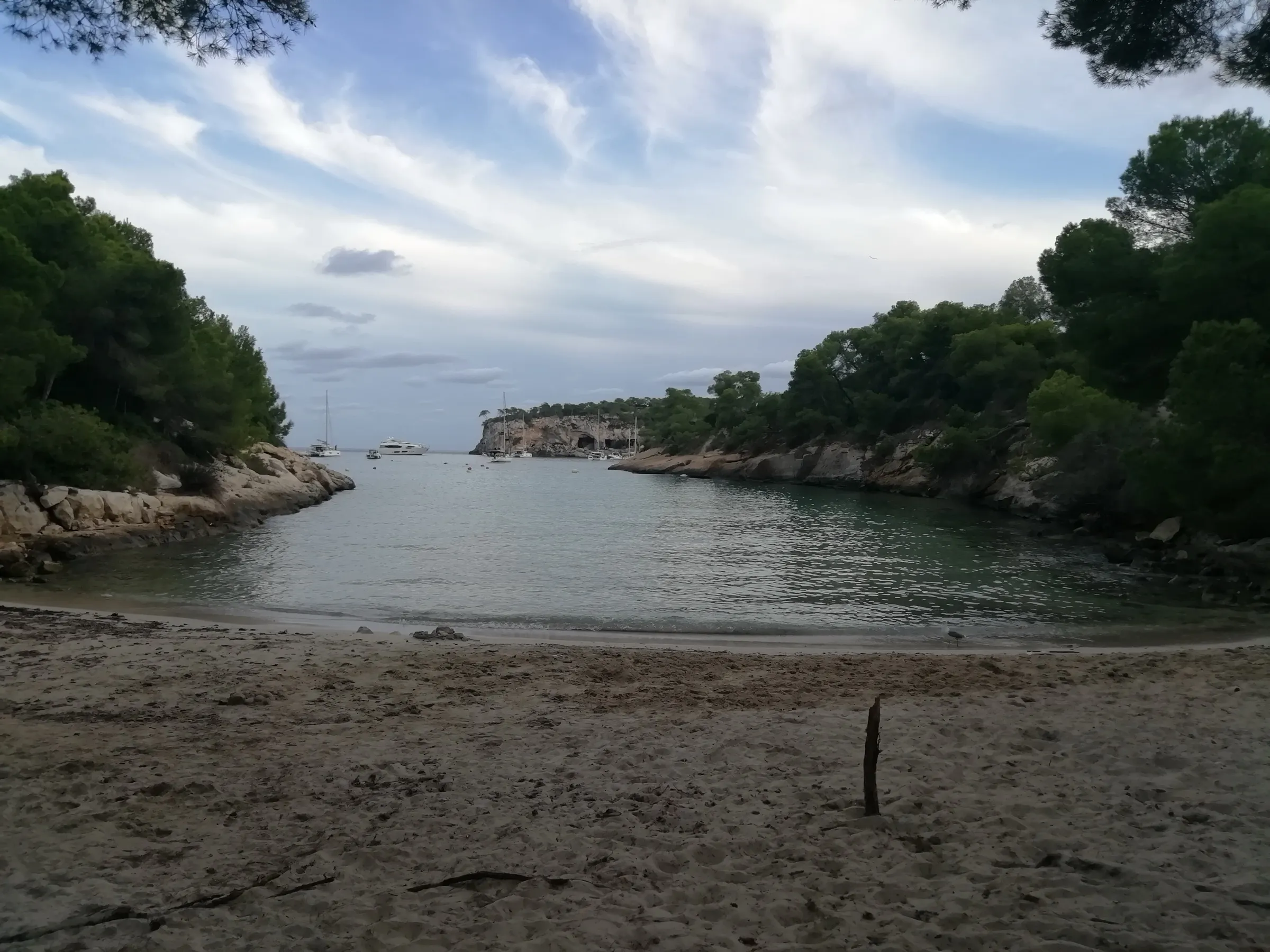 The sand of Cala Falcó and the calm inlet between pines and rock, with boats anchored at the mouth