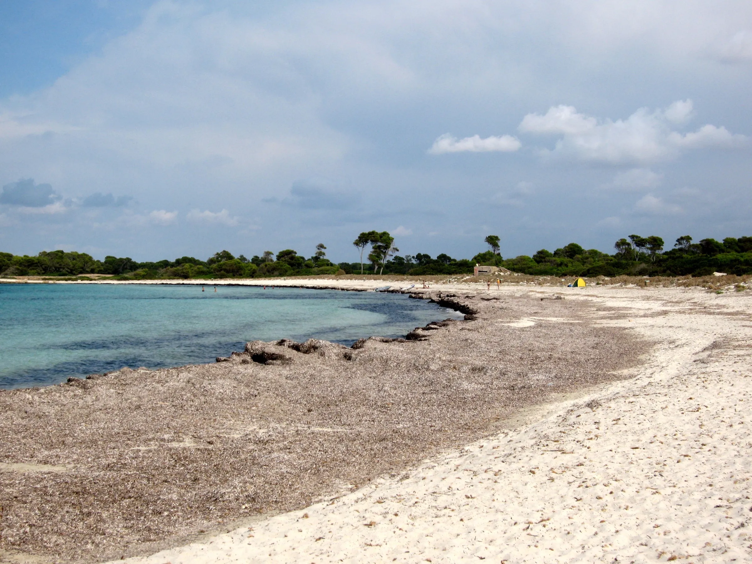 La Platja des Caragol, una curva de arena blanca y agua turquesa con el pinar detrás