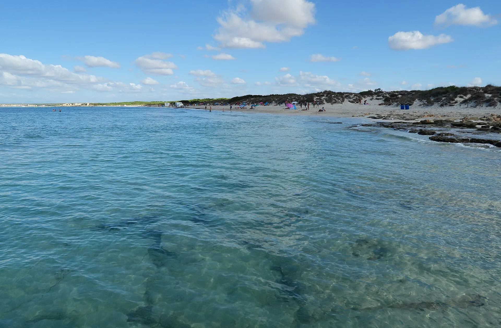 Agua transparente y baja en Es Trenc, con el arenal y las dunas a la derecha y sa Ràpita al fondo