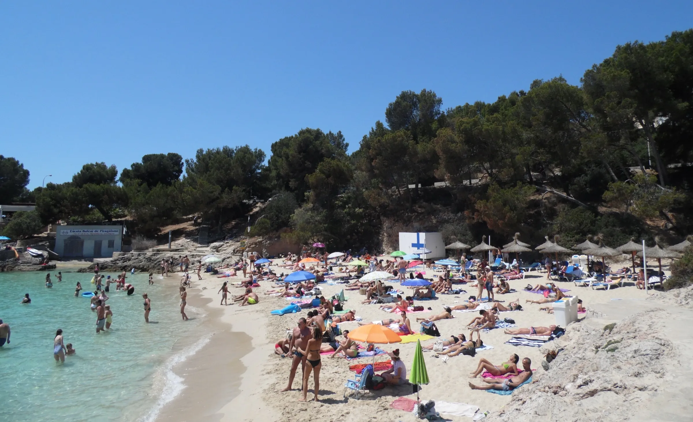 Vista general de Cala Comtesa en verano, con la arena llena de bañistas y el pinar detrás