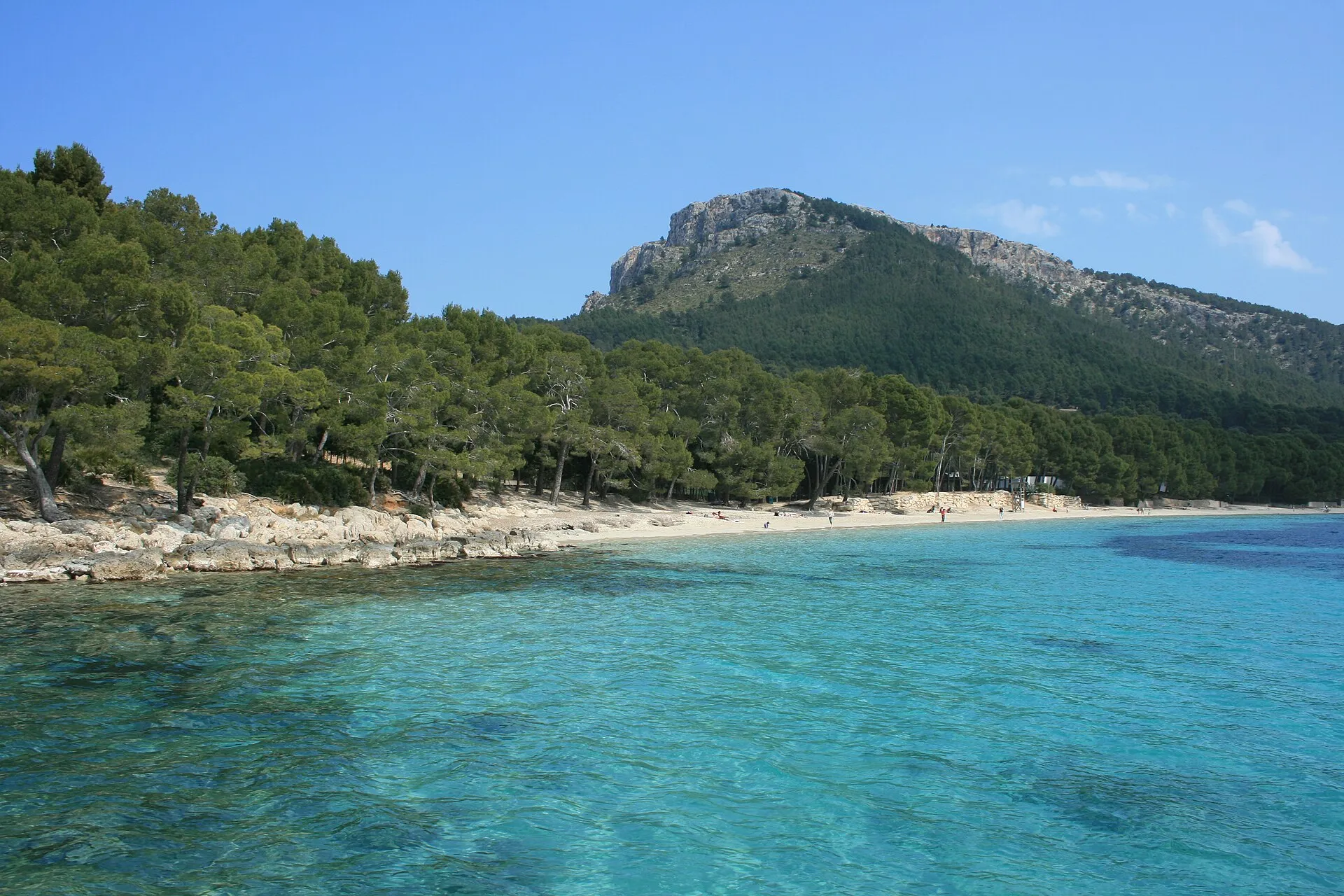 Agua turquesa y transparente frente a la Platja de Formentor, con el pinar hasta la arena y la montaña detrás