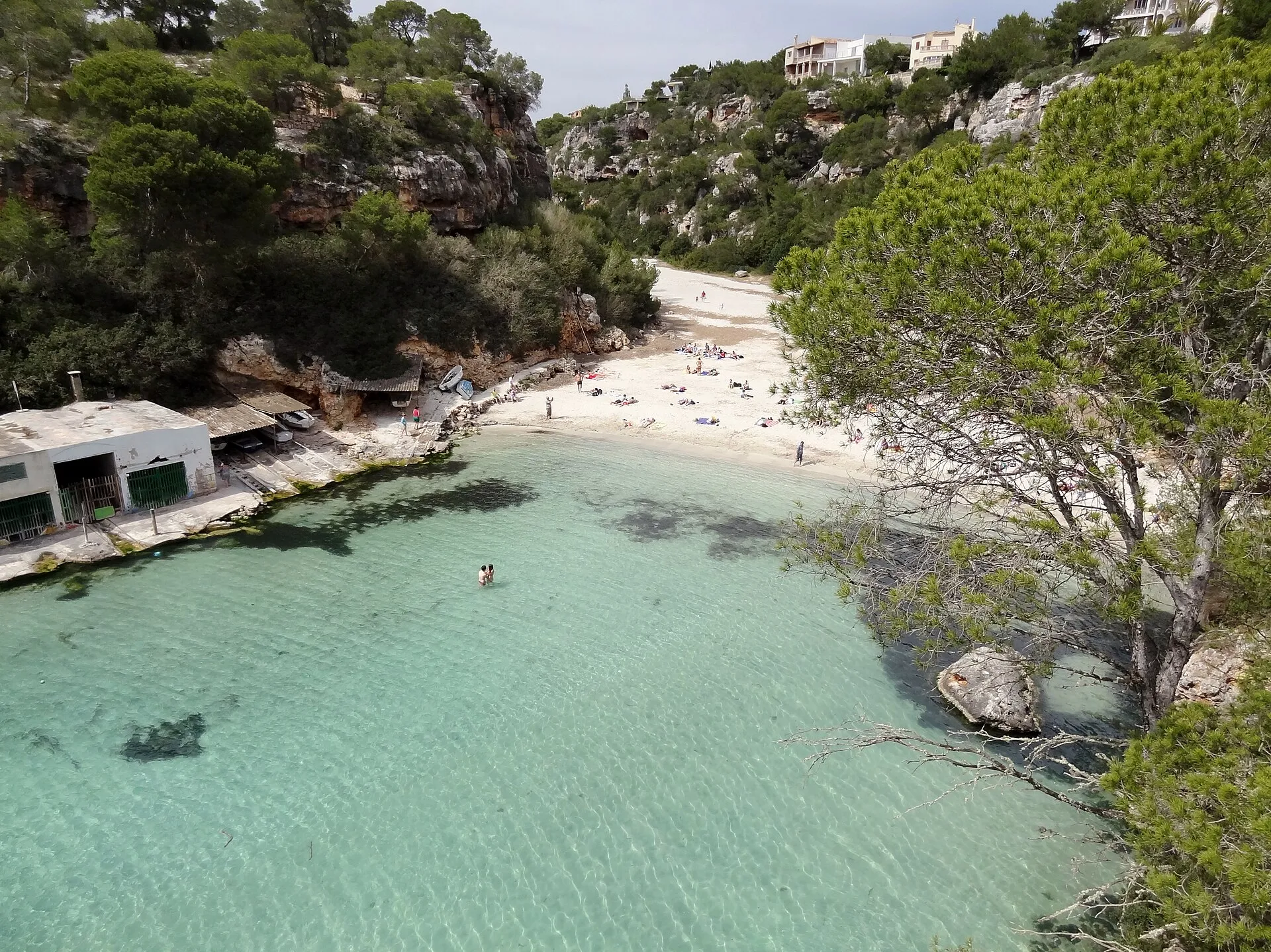 Agua turquesa de Cala Pi vista desde lo alto, con la playa de arena al fondo, los escars a la izquierda y pinos a la derecha