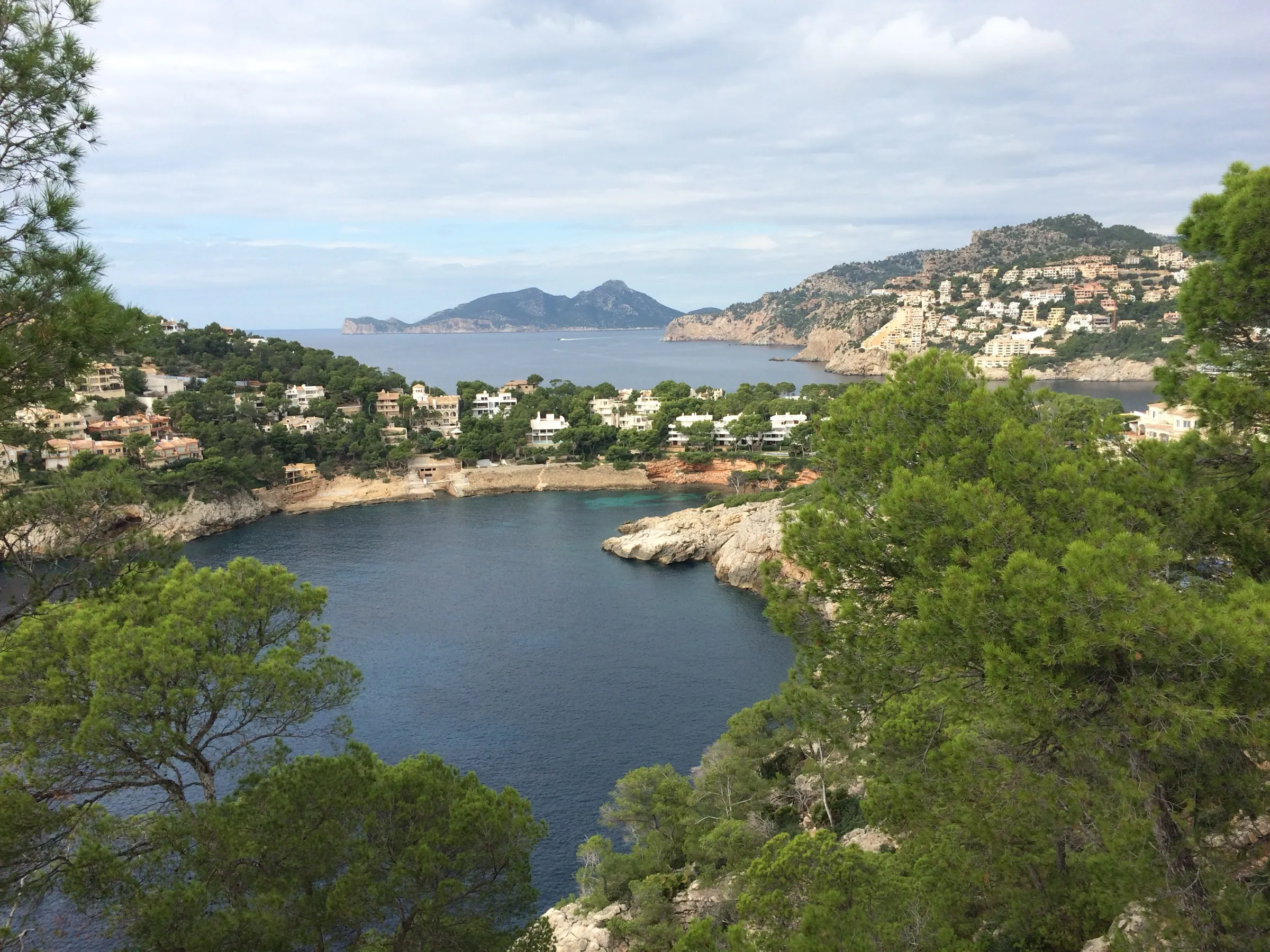 Cala Marmassen seen from the pine woods, with the houses of sa Mola behind and sa Dragonera in the distance