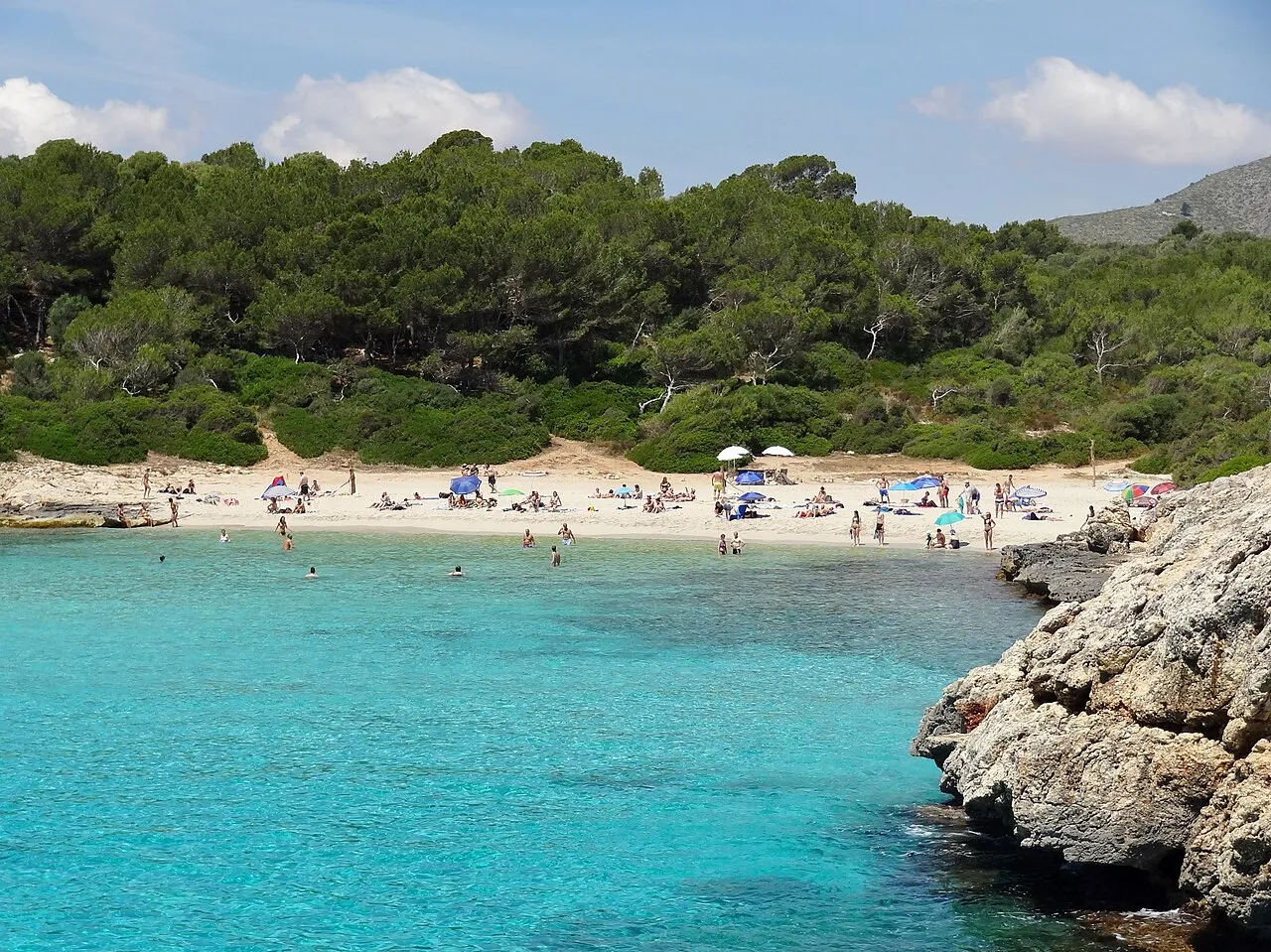 Bañistas en la arena blanca de Cala Varques, con el pinar detrás