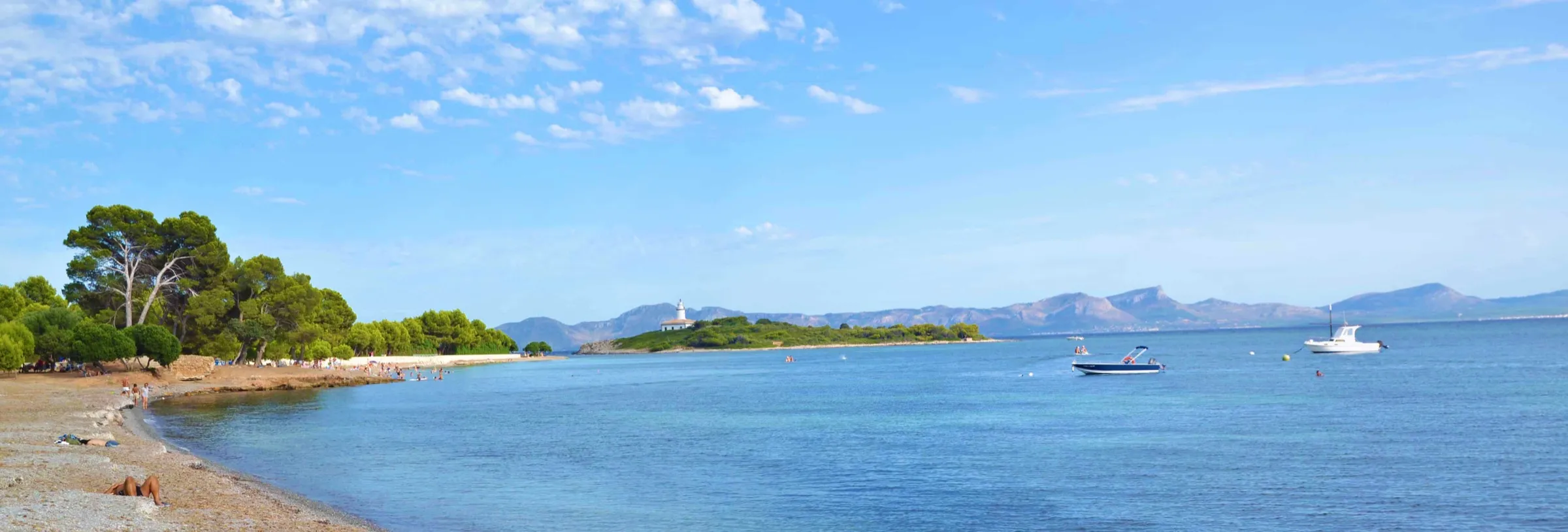 Panorama des Strands von Alcanada mit dem Pinienwald links und der ruhigen Bucht von Alcúdia