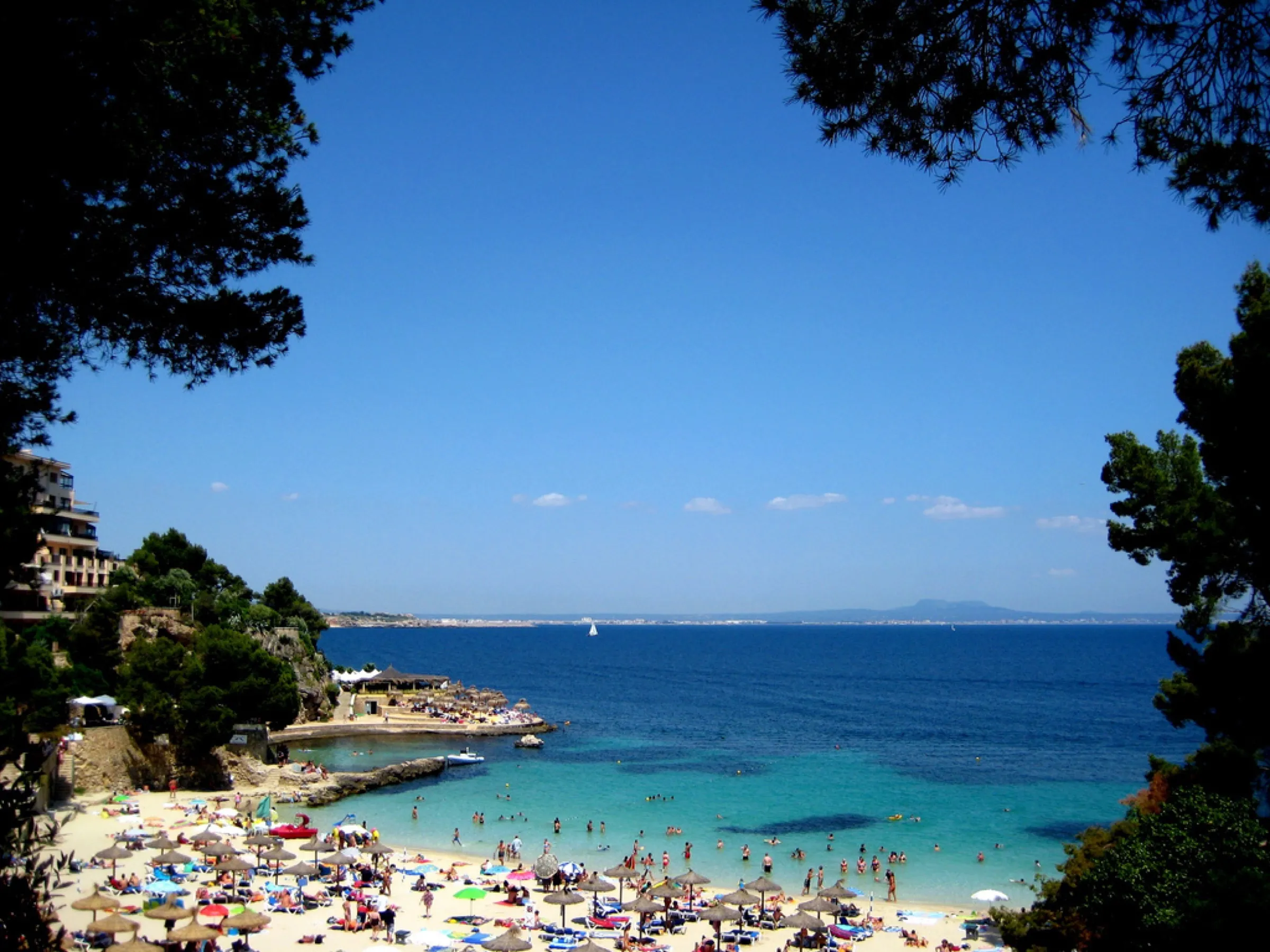 La playa de Illetas entre pinos, con sombrillas en la arena y la bahía de Palma al fondo