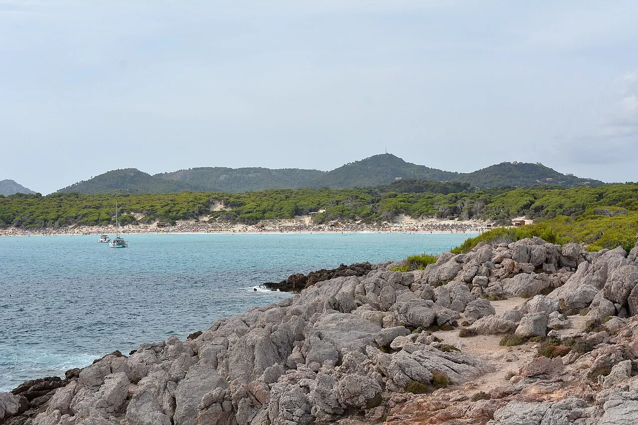 Rocas calizas en primer plano y la larga playa de Cala Agulla al fondo, bajo las colinas de pinar