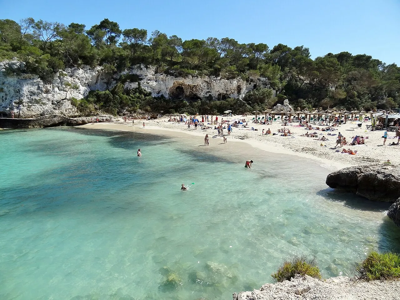 Bañistas en la arena de Cala Llombards y agua turquesa en la orilla, bajo el acantilado cubierto de pinos