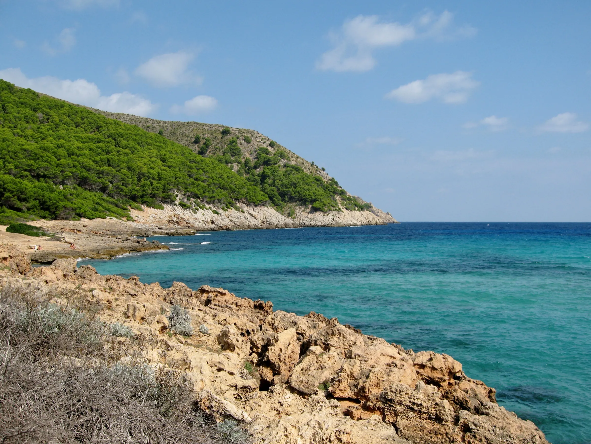 El lado oeste de Cala Moltó, con roca caliza en primer plano, agua turquesa y la ladera cubierta de pinar