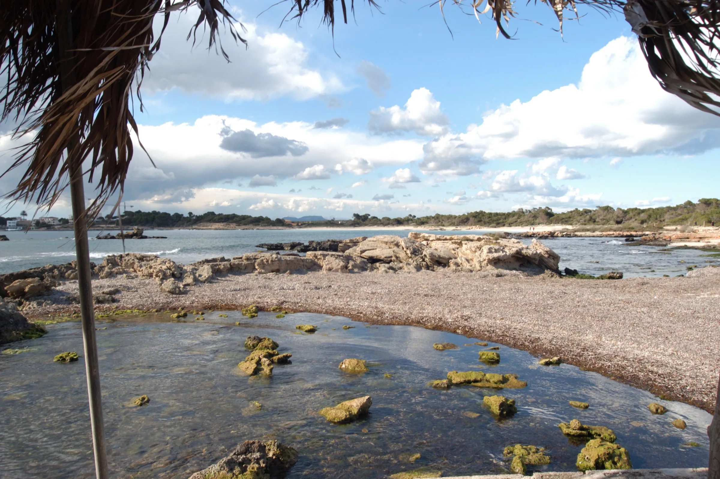 Ufer mit getrockneter Posidonia und klarem Wasser am Südende von es Dolç, im Hintergrund der Sandstreifen