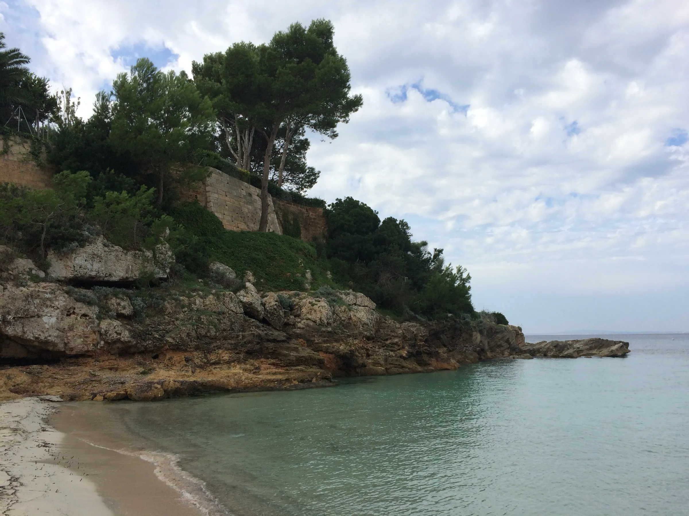 Das Ufer der Cala Blava mit Pinien auf dem Fels und dem Ausgang zum Meer