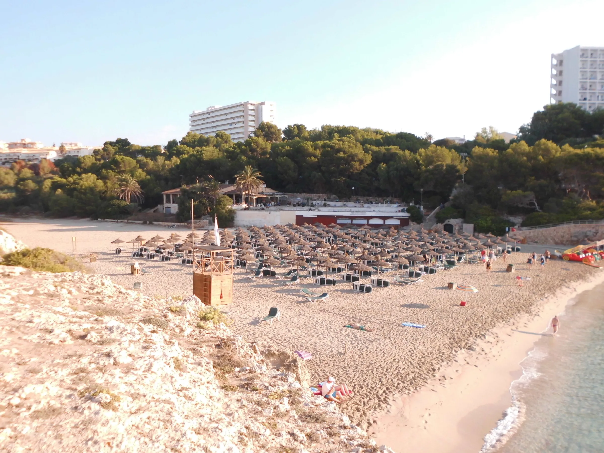 Hamacas y sombrillas en la arena de es Domingos Gran, con pinar y edificios detrás