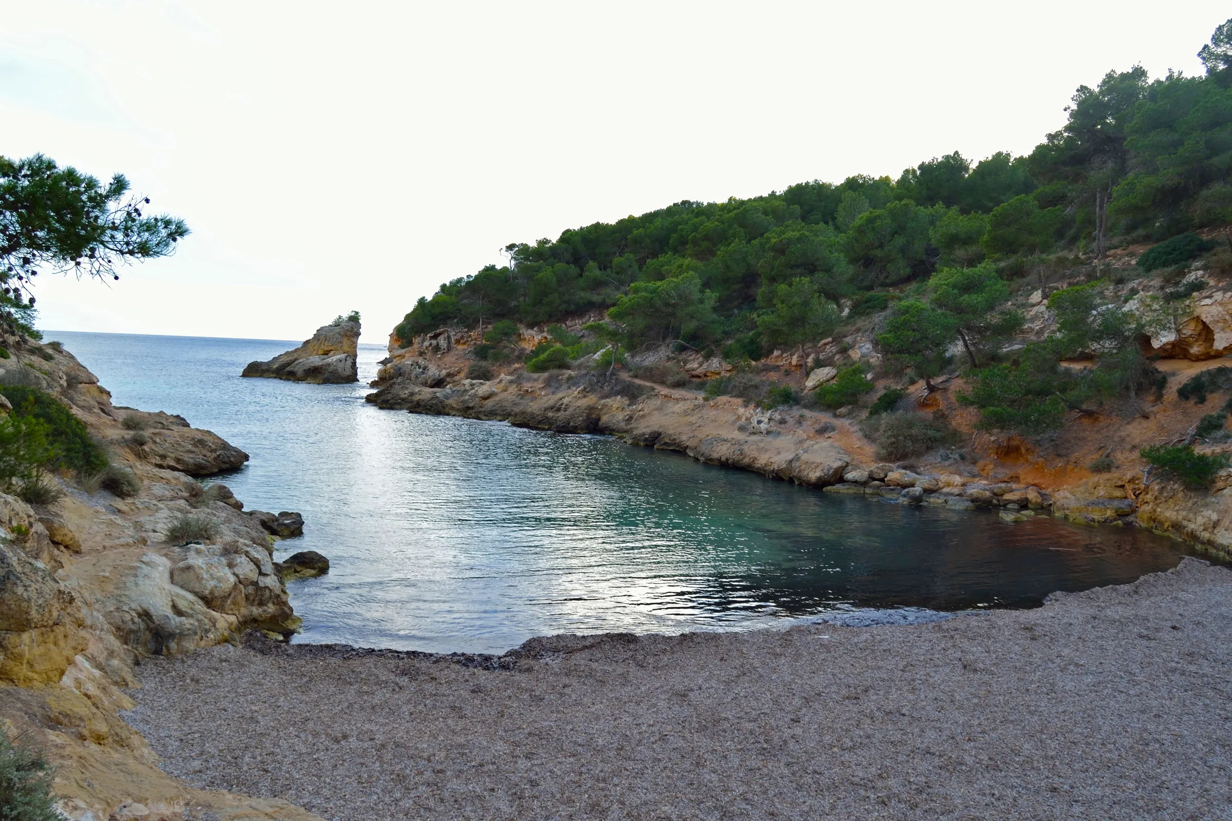 Cala Falcó vom Ufer aus, mit dem schmalen Meeresarm zwischen bewaldeten Klippen und der kleinen Insel an der Einfahrt