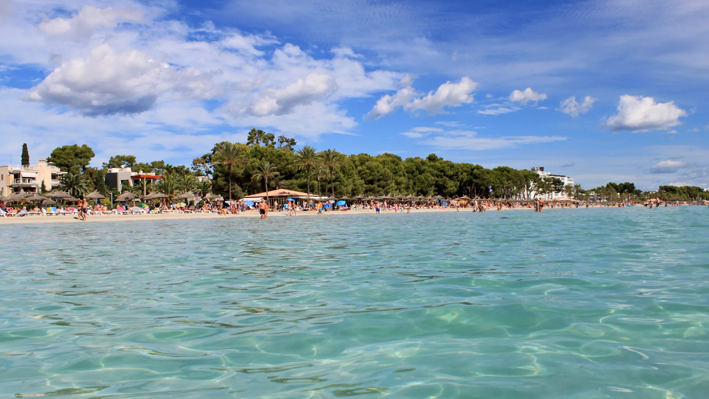 Agua turquesa y transparente en primer plano, con la playa, las sombrillas y el pinar detrás