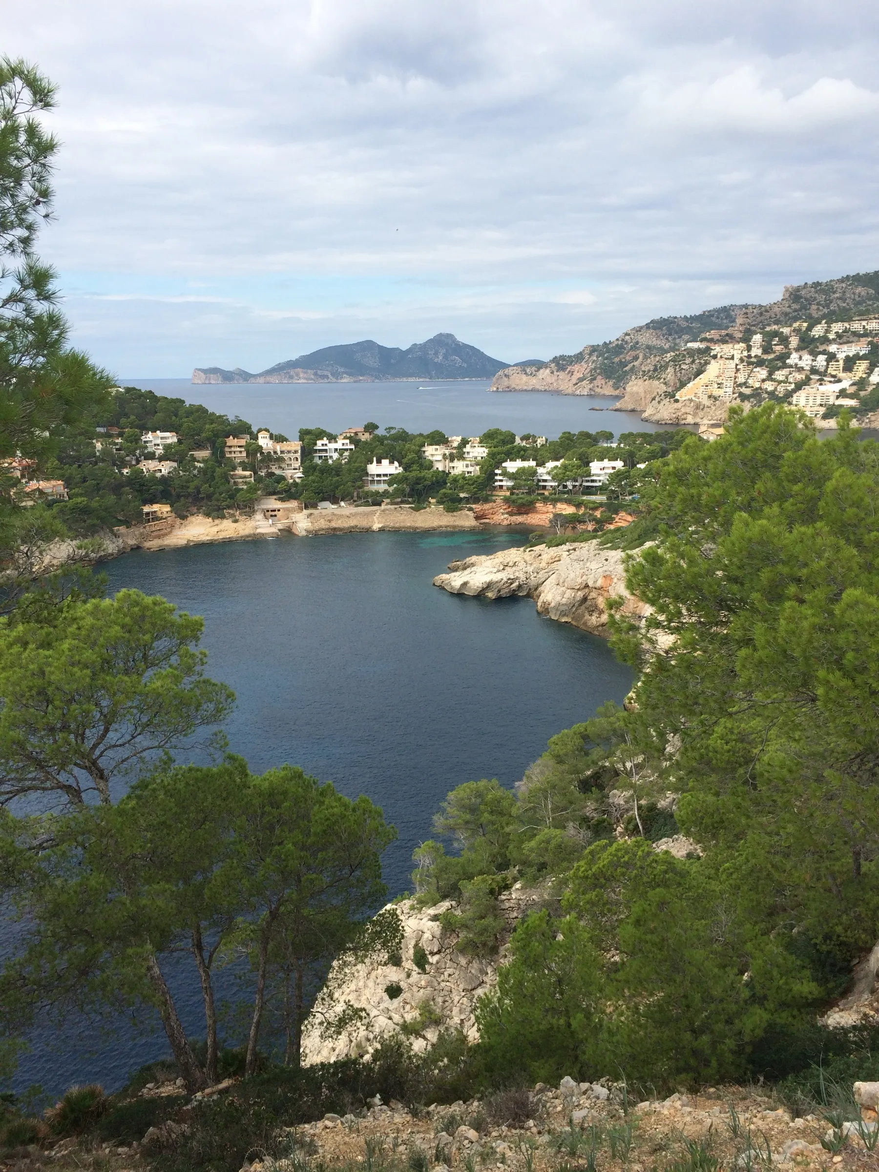 Das dunkle, tiefe Wasser der Cala Marmassen zwischen niedrigen Klippen und Pinien