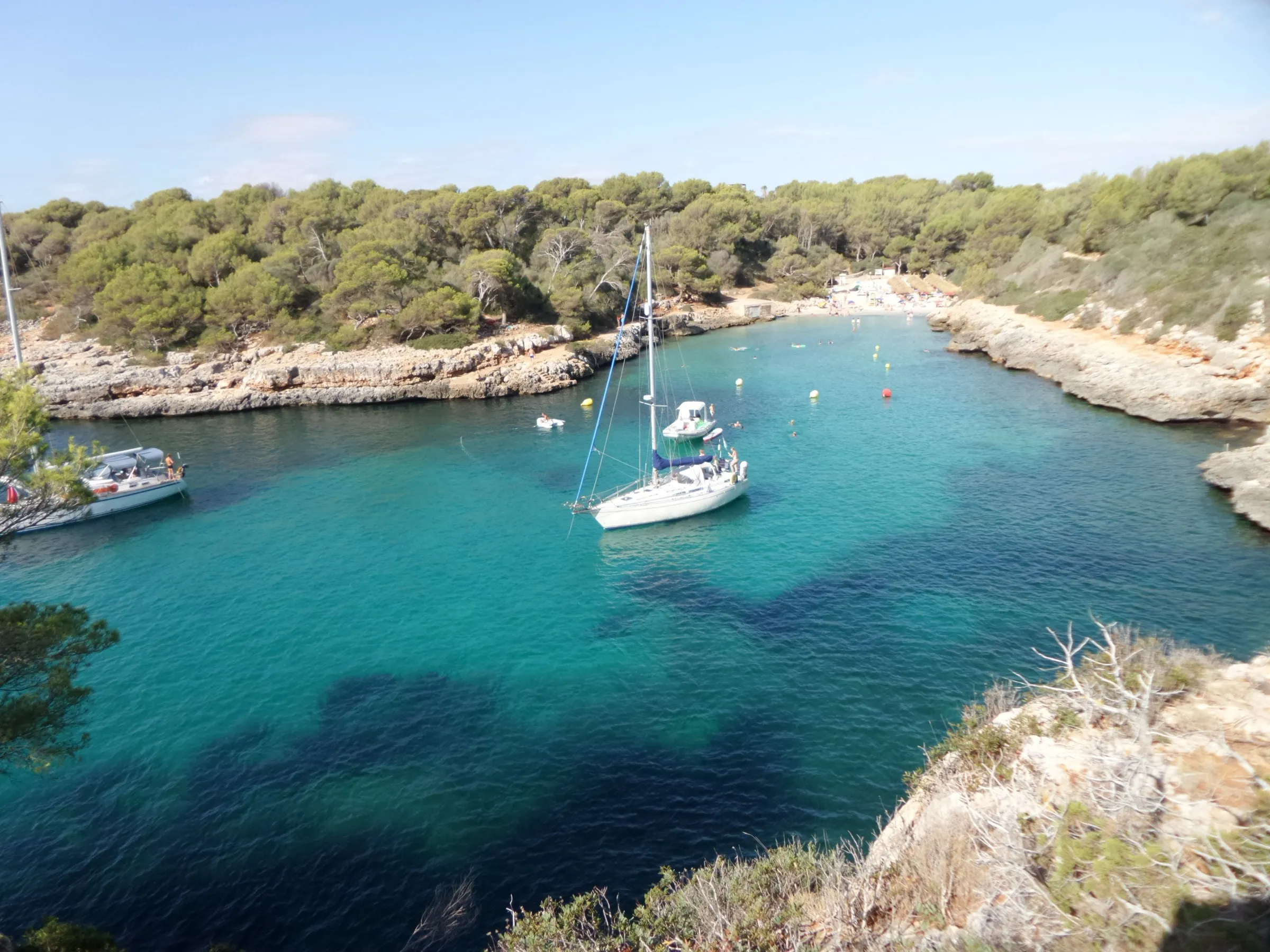 El entrante de Cala Sa Nau con veleros y el agua transparente sobre la arena y la posidonia