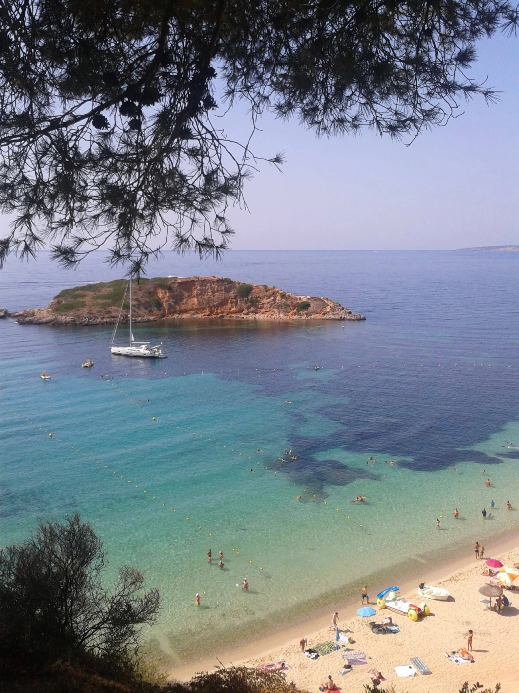 La arena de la playa entre pinos, con bañistas y la Illa d'en Sales al fondo