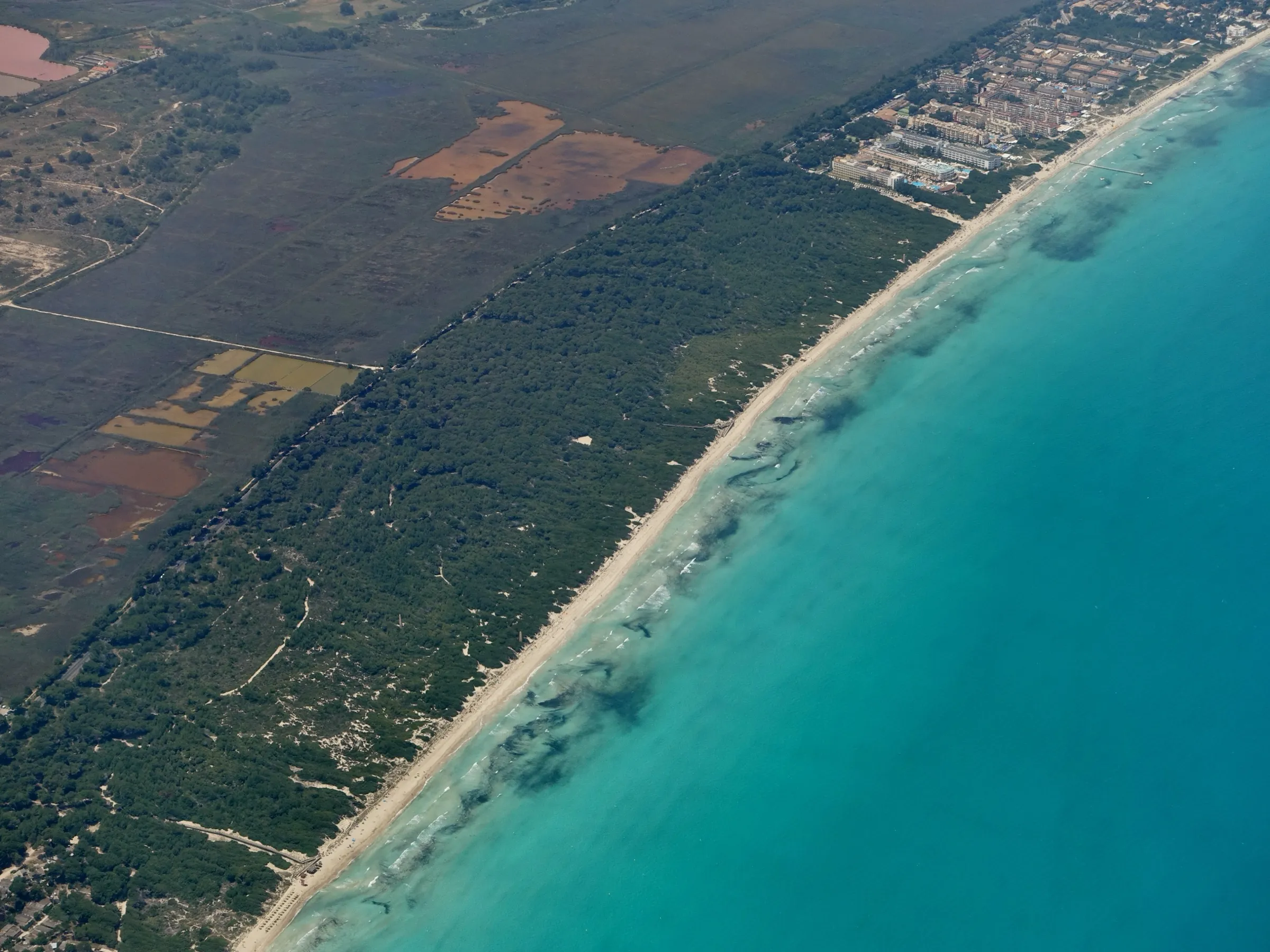 Vista aérea de Es Comú, con la franja de arena, el pinar detrás y los terrenos de s'Albufera más adentro