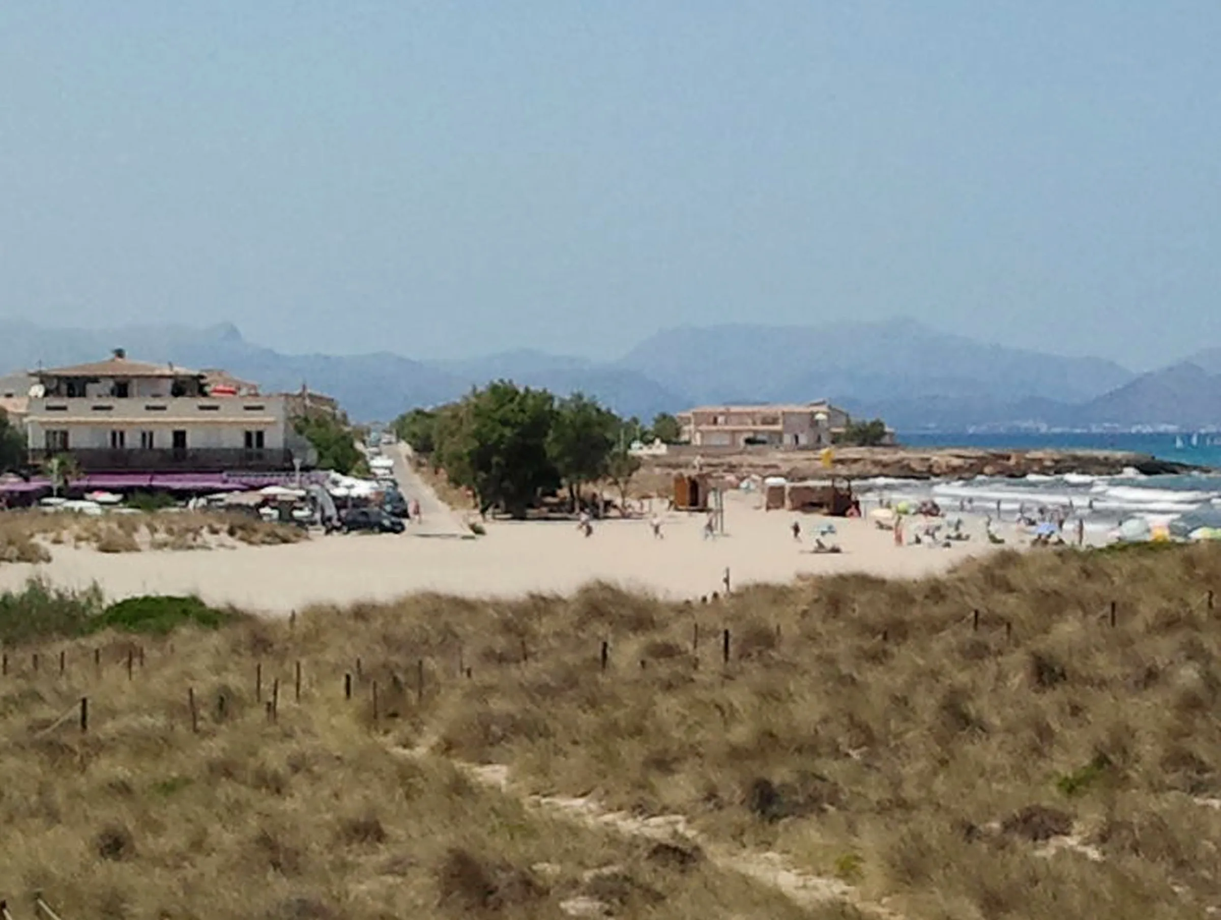 Dunas con vegetación junto al torrent de na Borges, con los bares de la playa y la bahía de Alcúdia al fondo