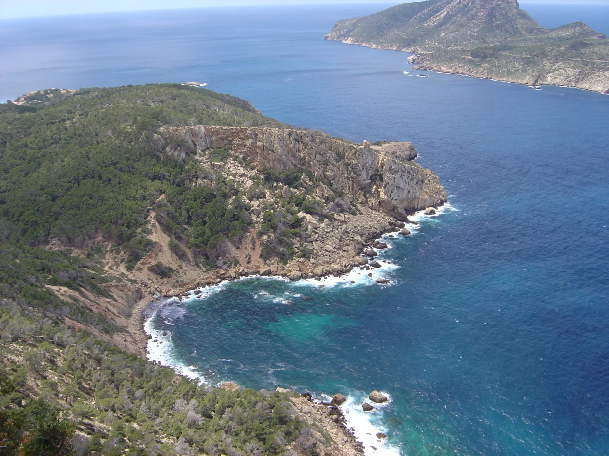 La cala y la costa de pinar hacia la punta de sa Galera, con sa Dragonera en el horizonte