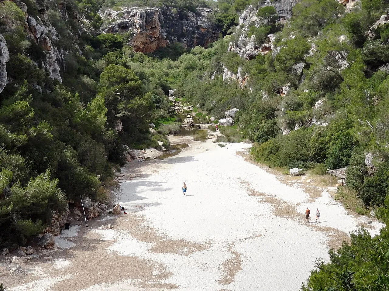 La arena blanca de Cala Pi se prolonga tierra adentro hacia el torrente, entre paredes de roca y vegetación