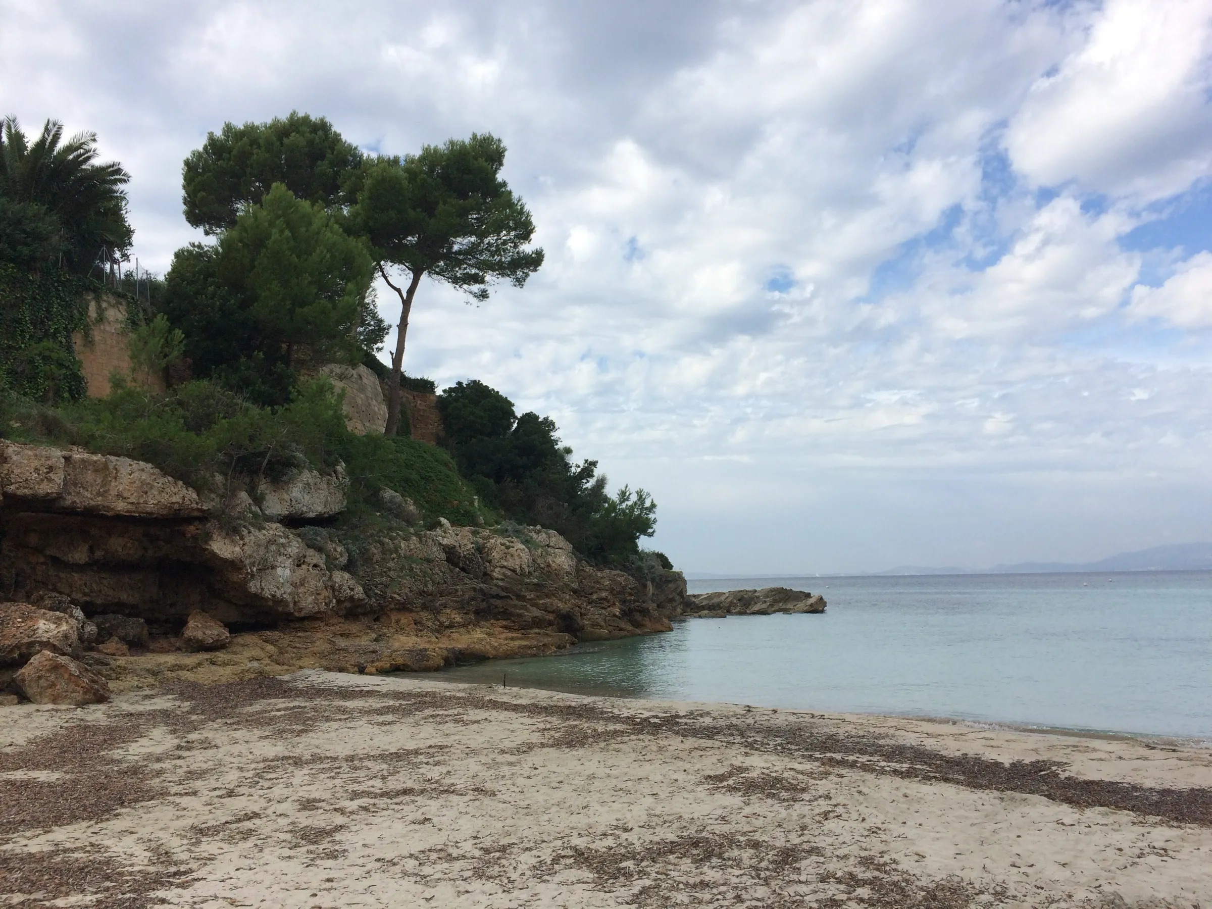 Der Sand der Cala Blava unter den Pinien der Klippe