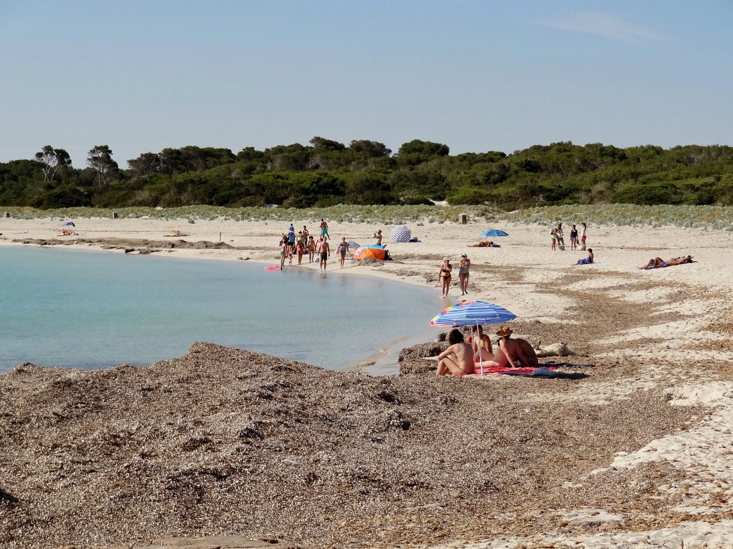 Bañistas y sombrillas en la orilla de la Platja des Caragol, con agua clara y poco profunda