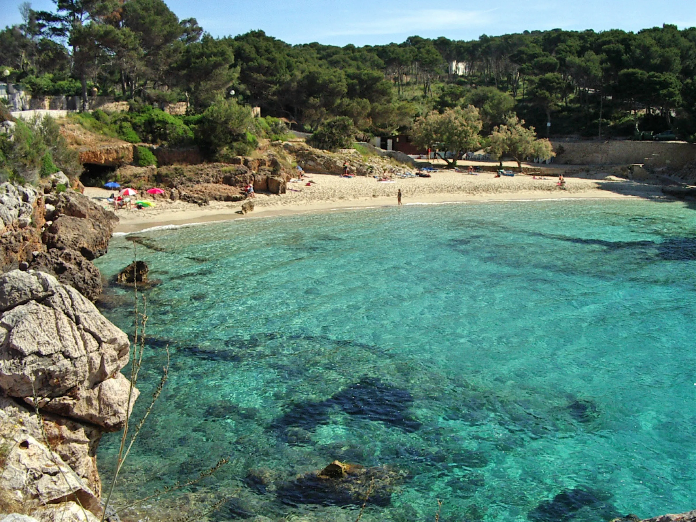 Agua turquesa y fondo de roca en Cala Gat, con la arena y los pinos detrás