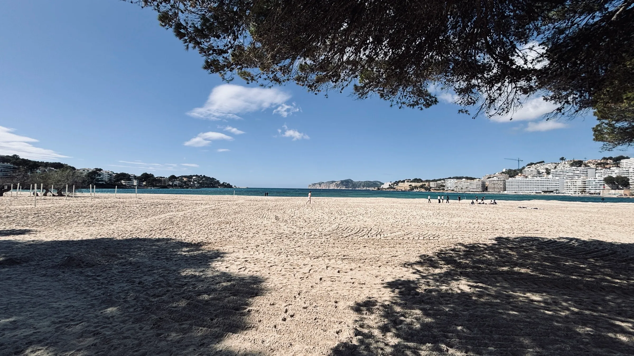 Schatten der Pinien auf dem Sand des Strands von Santa Ponça