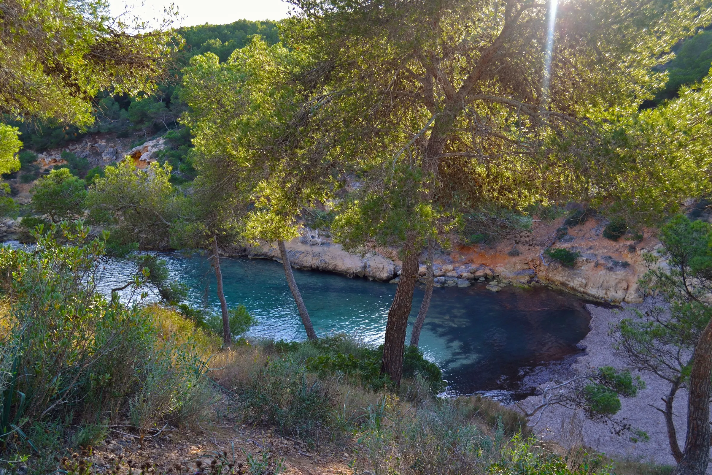 The turquoise water of Cala Falcó seen through the pines from the top of the cliff