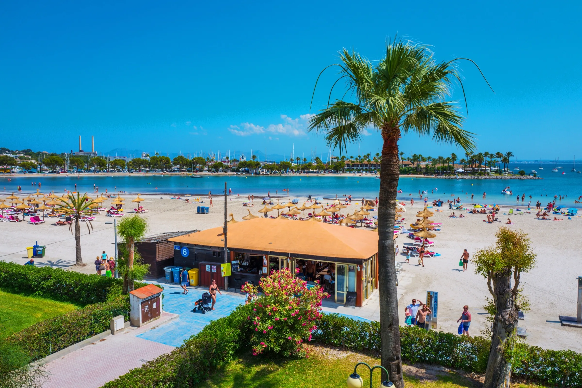 Paseo junto a la Platja d'Alcúdia con palmeras, un edificio de servicios y la arena llena de sombrillas