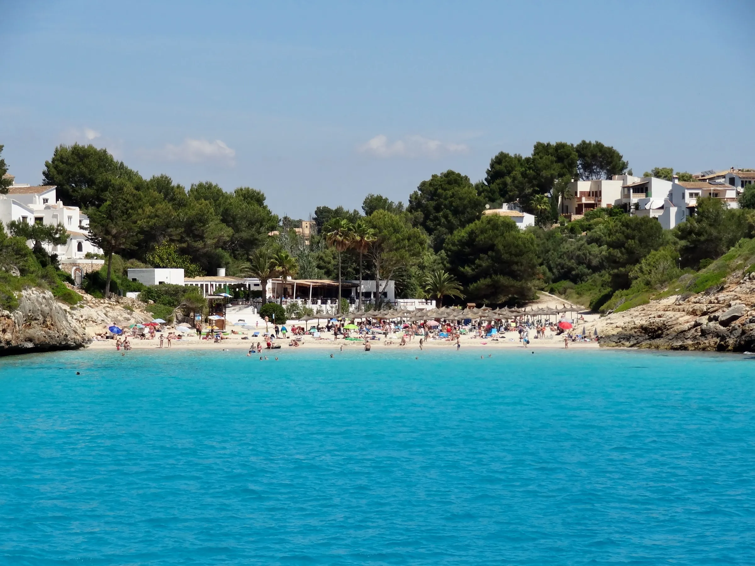 Bañistas en la arena de Cala Anguila, con pinos y casas detrás de la playa