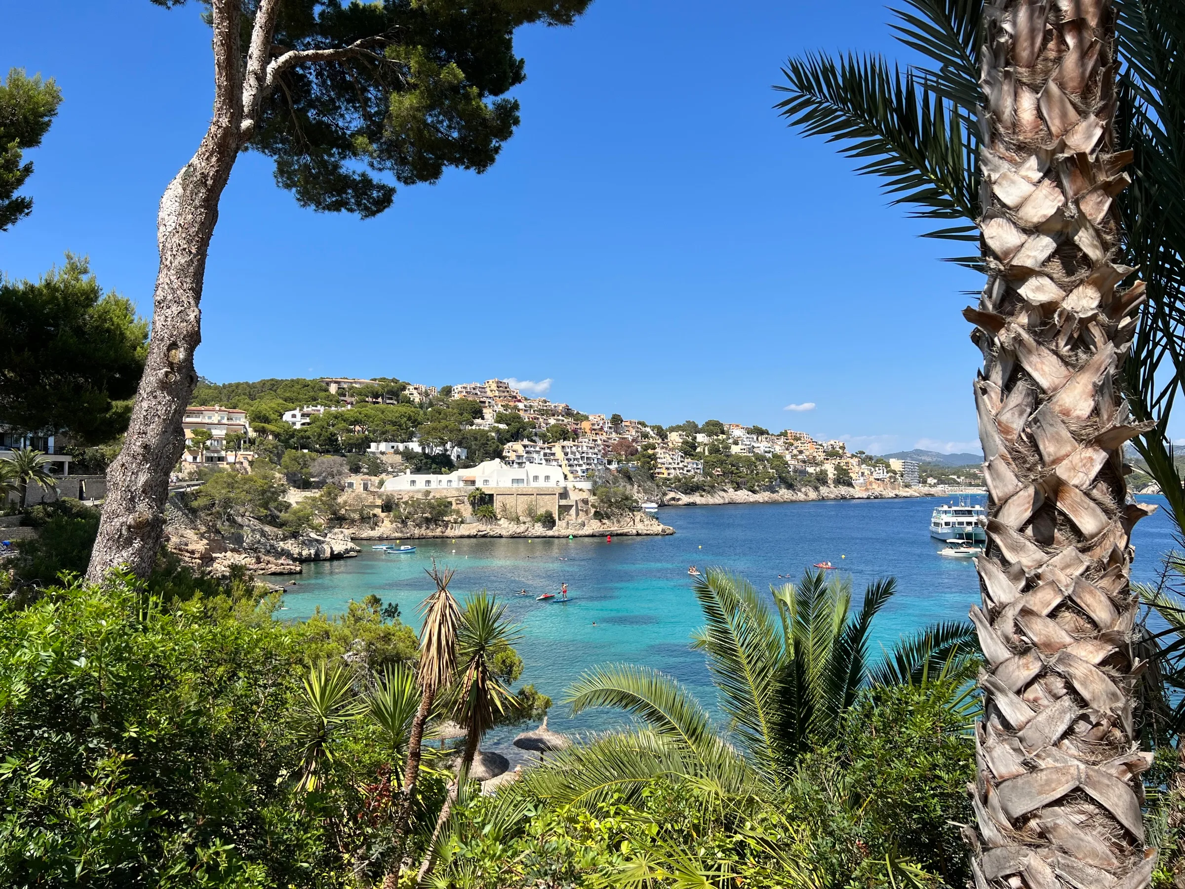 La ensenada de Cala Fornells en verano vista entre pinos y palmeras, con el pueblo al fondo