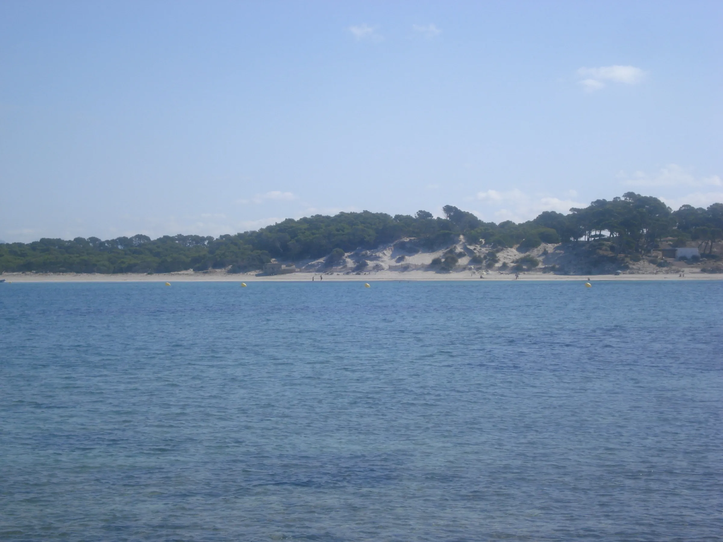 El arenal des Carbó visto desde el islote de na Moltona, con las dunas y el pinar