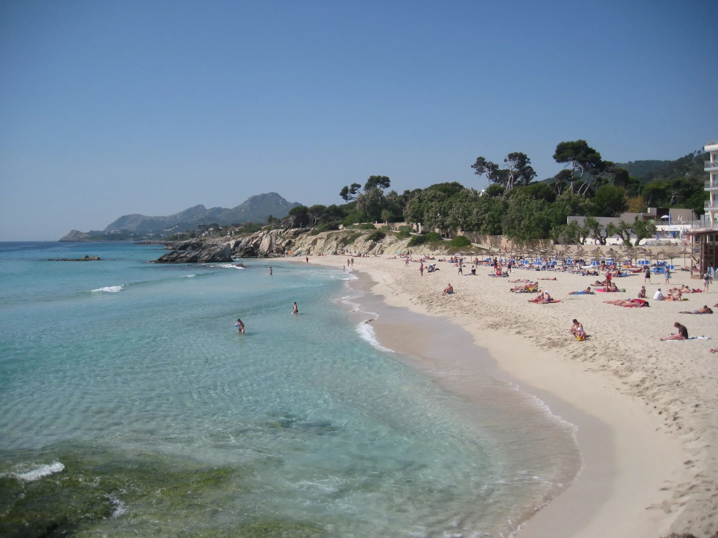 Orilla curva de Son Moll con agua transparente, bañistas y los pinos del extremo de la playa