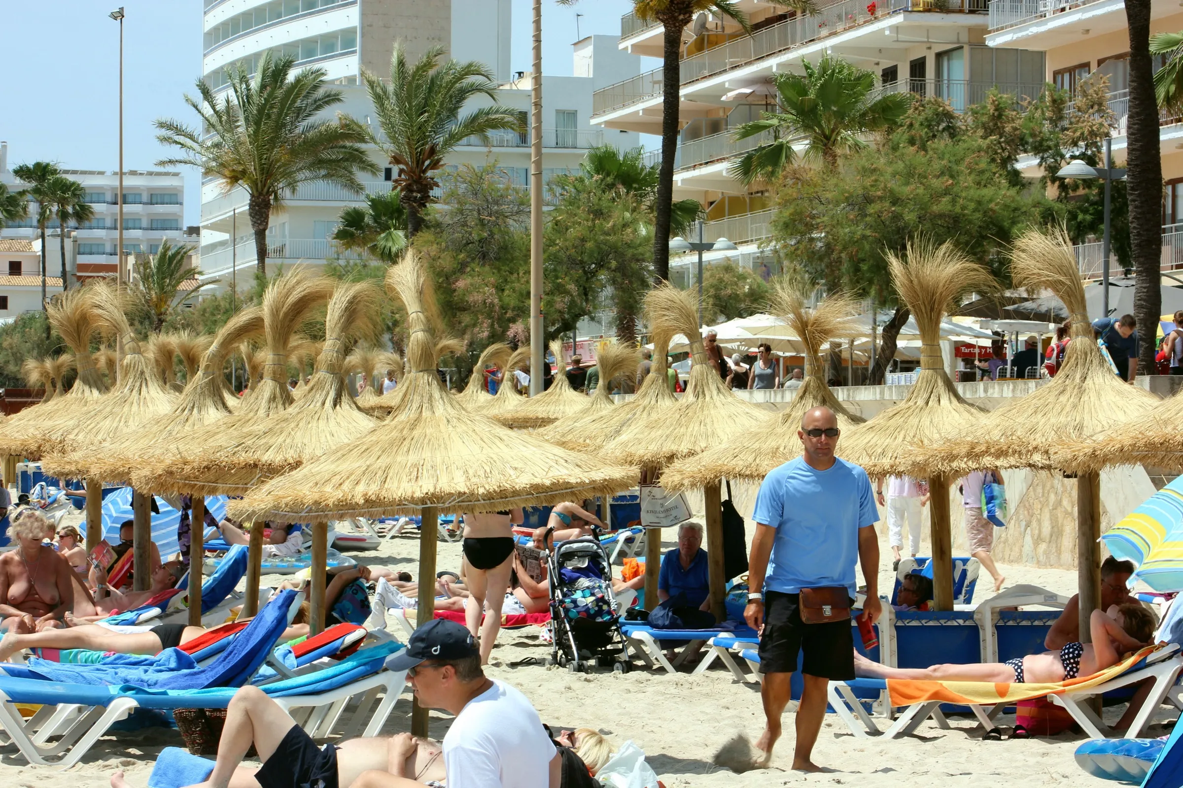 Strohschirme und Liegen auf dem Sand von Cala Millor, mit Palmen und Hotels dahinter