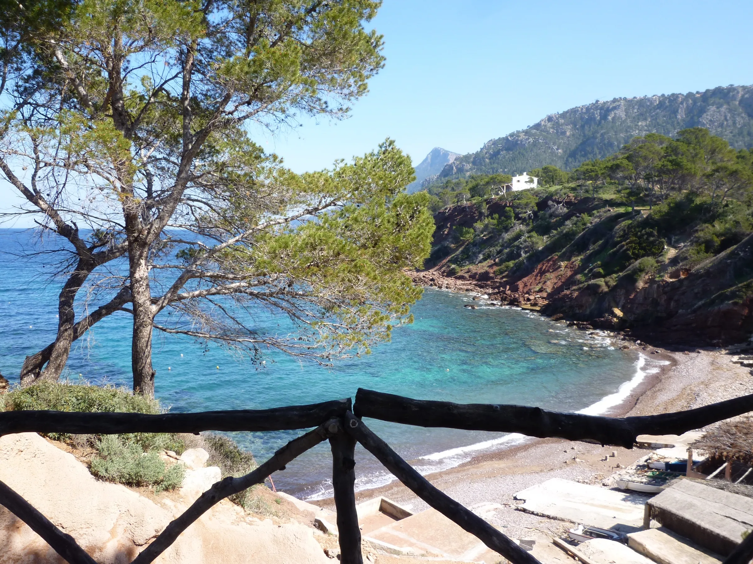 La bahía del Port des Canonge vista entre pinos desde un mirador, con agua turquesa y la orilla de cantos