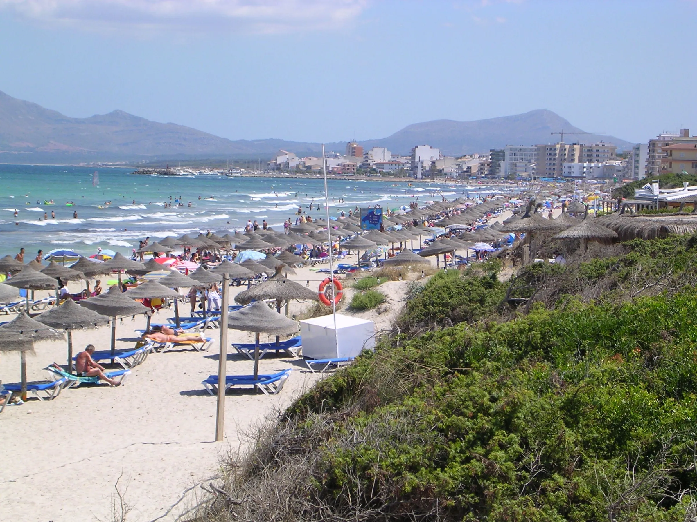 Liegen und Sonnenschirme auf dem Sand von Can Picafort, im Hintergrund die Bucht von Alcúdia und die Berge