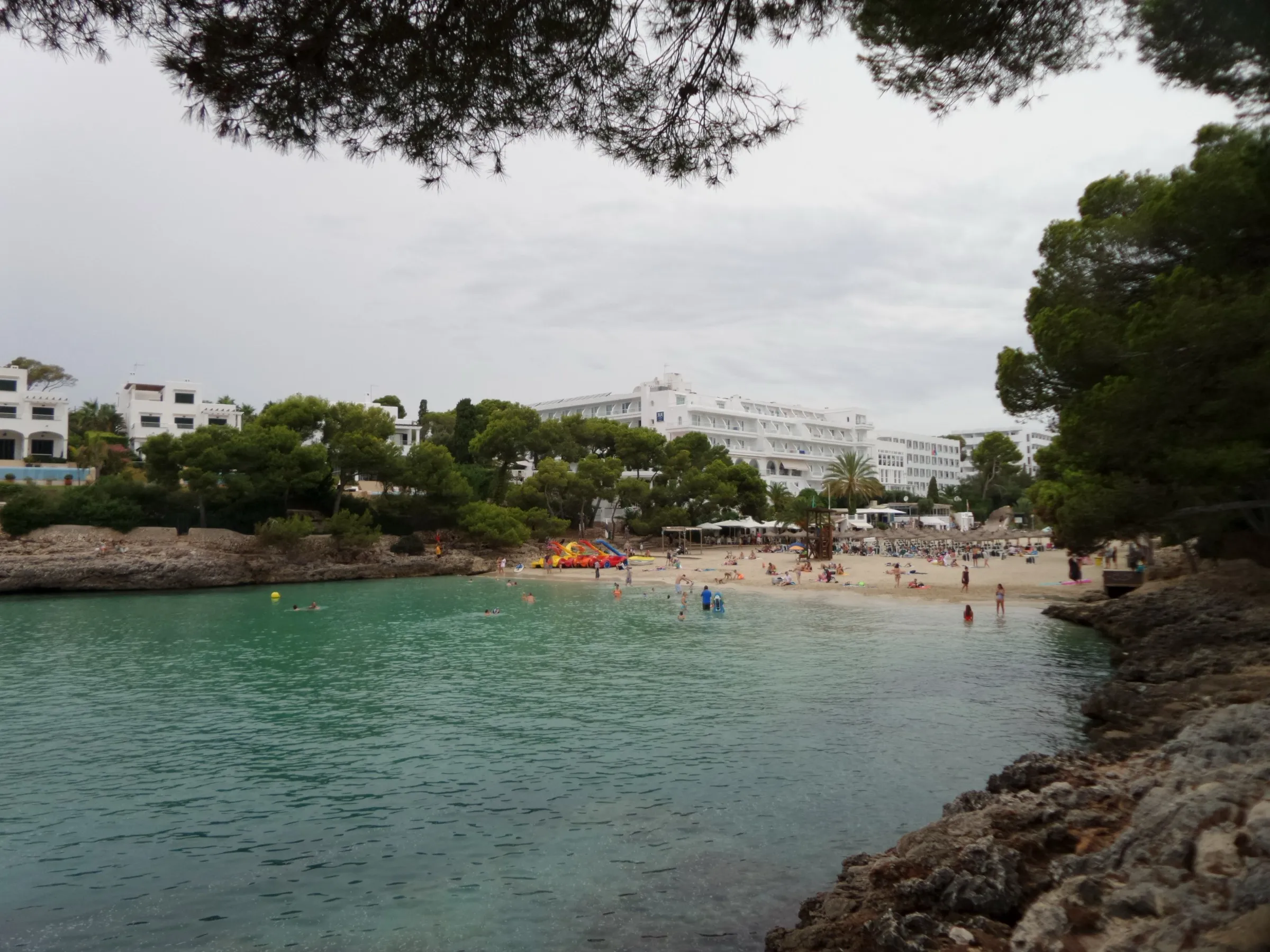 Der Strand der Cala Gran von der Seite, zwischen Pinien, mit hellgrünem Wasser davor