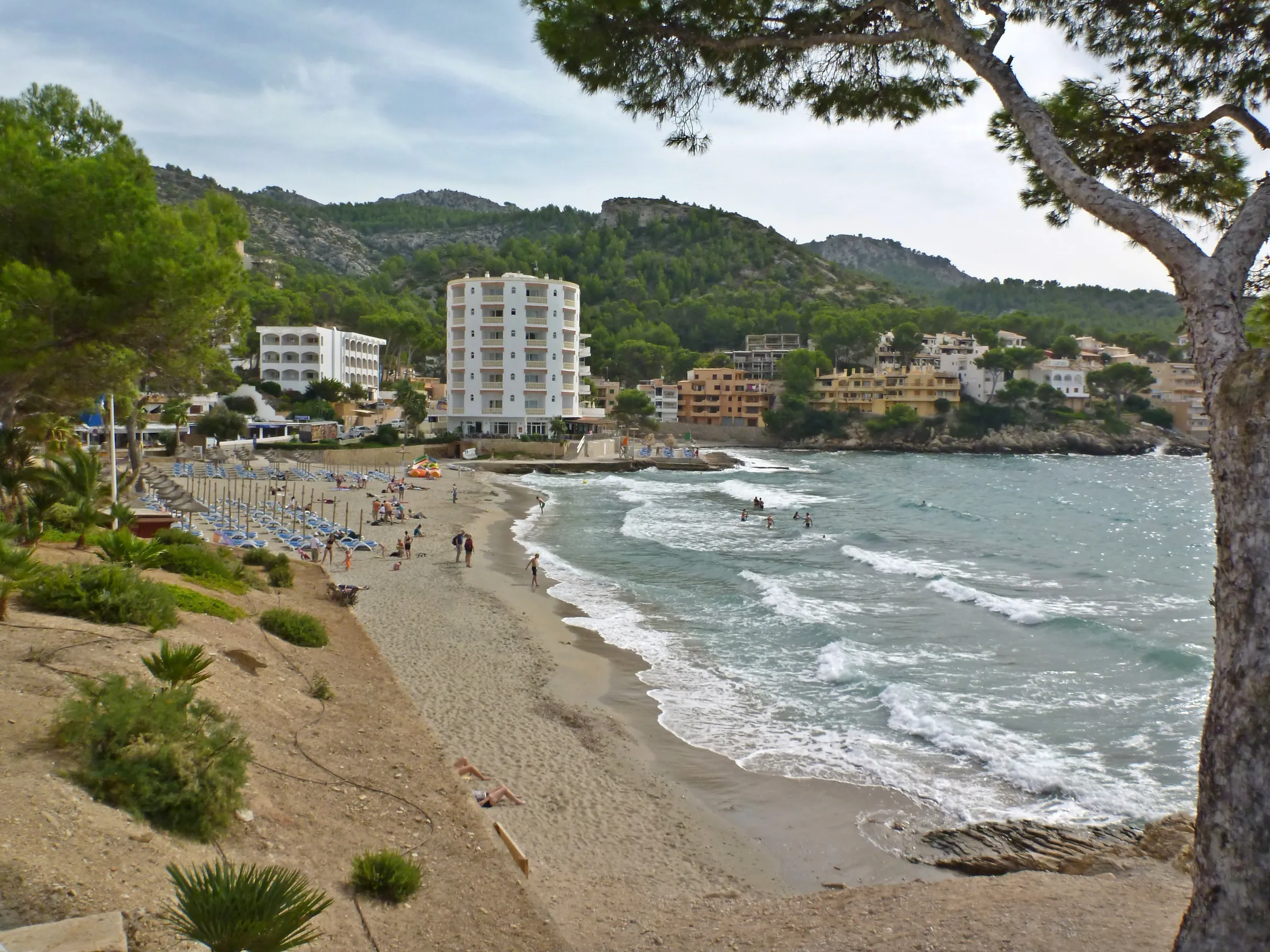 La bahía de Sant Elm desde el pinar, con hamacas en la arena y el pueblo al fondo