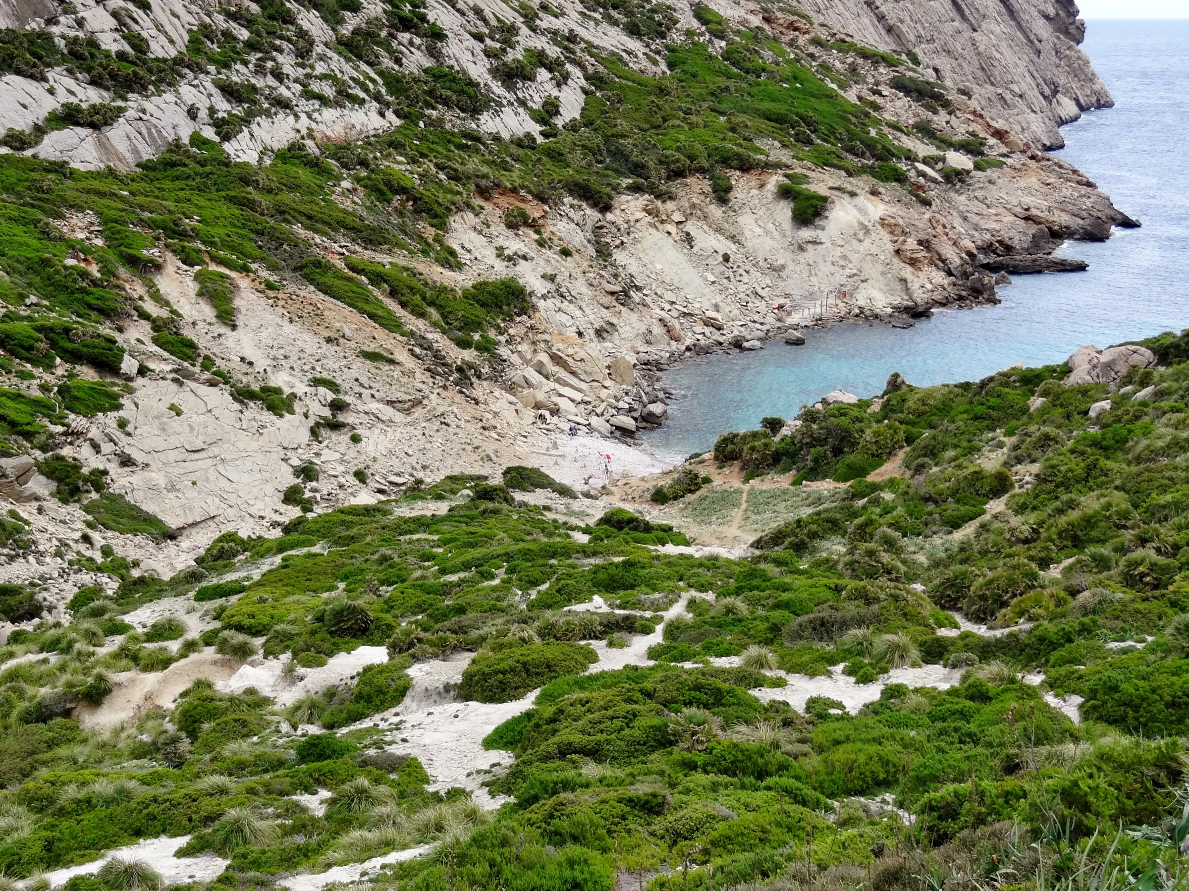 El final del camino baja entre matorral hacia el agua turquesa de Cala Bóquer
