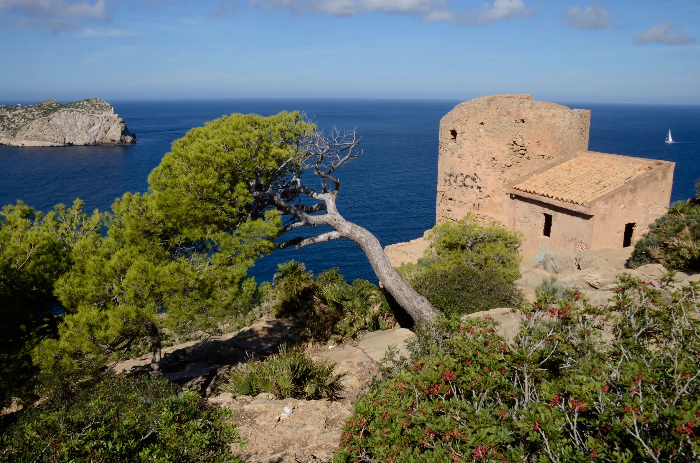 La torre de Cala en Basset entre pinos, con sa Dragonera y el mar detrás