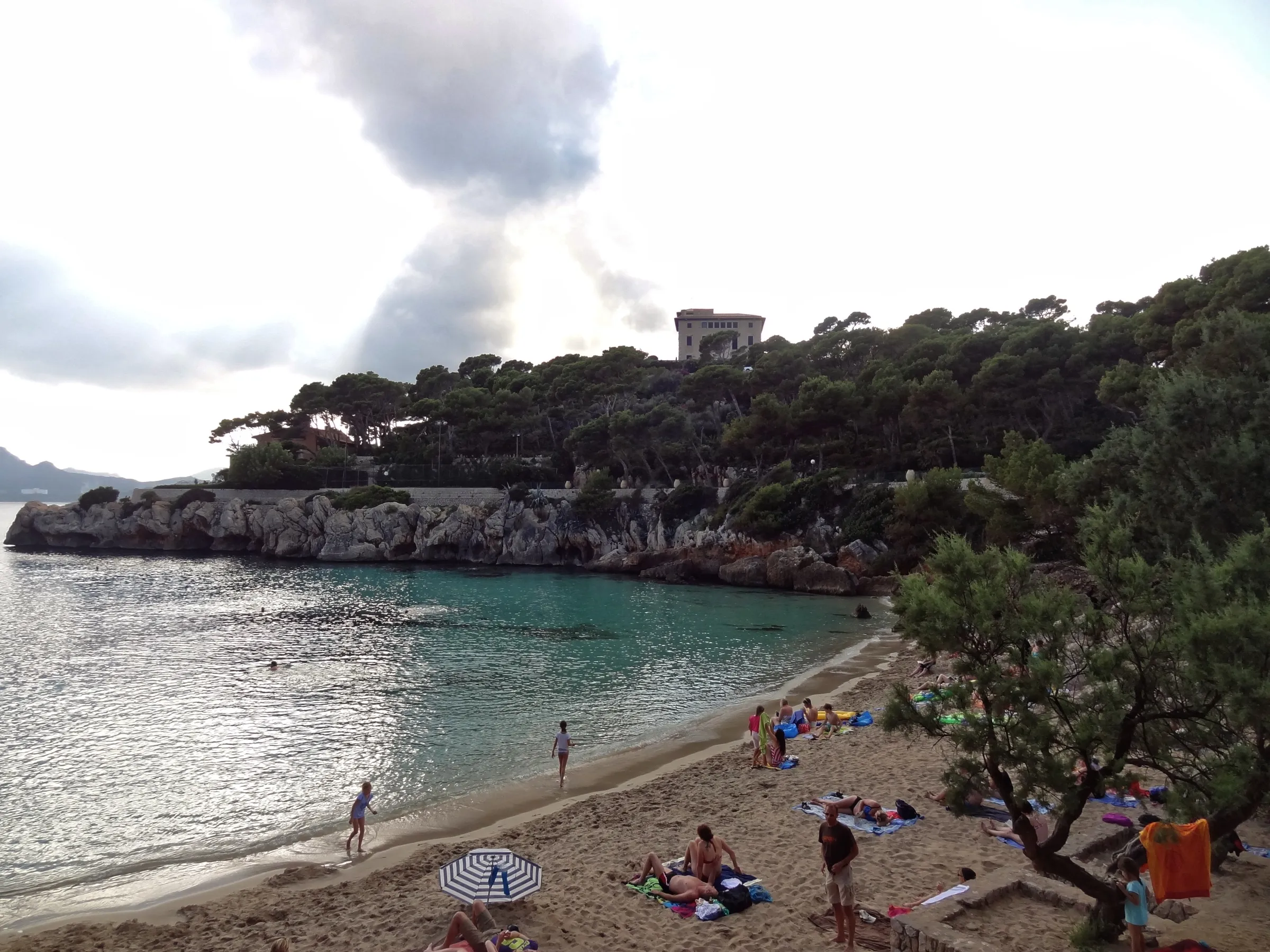 La arena de Cala Gat vista desde un lateral, con la costa rocosa y el pinar al otro lado
