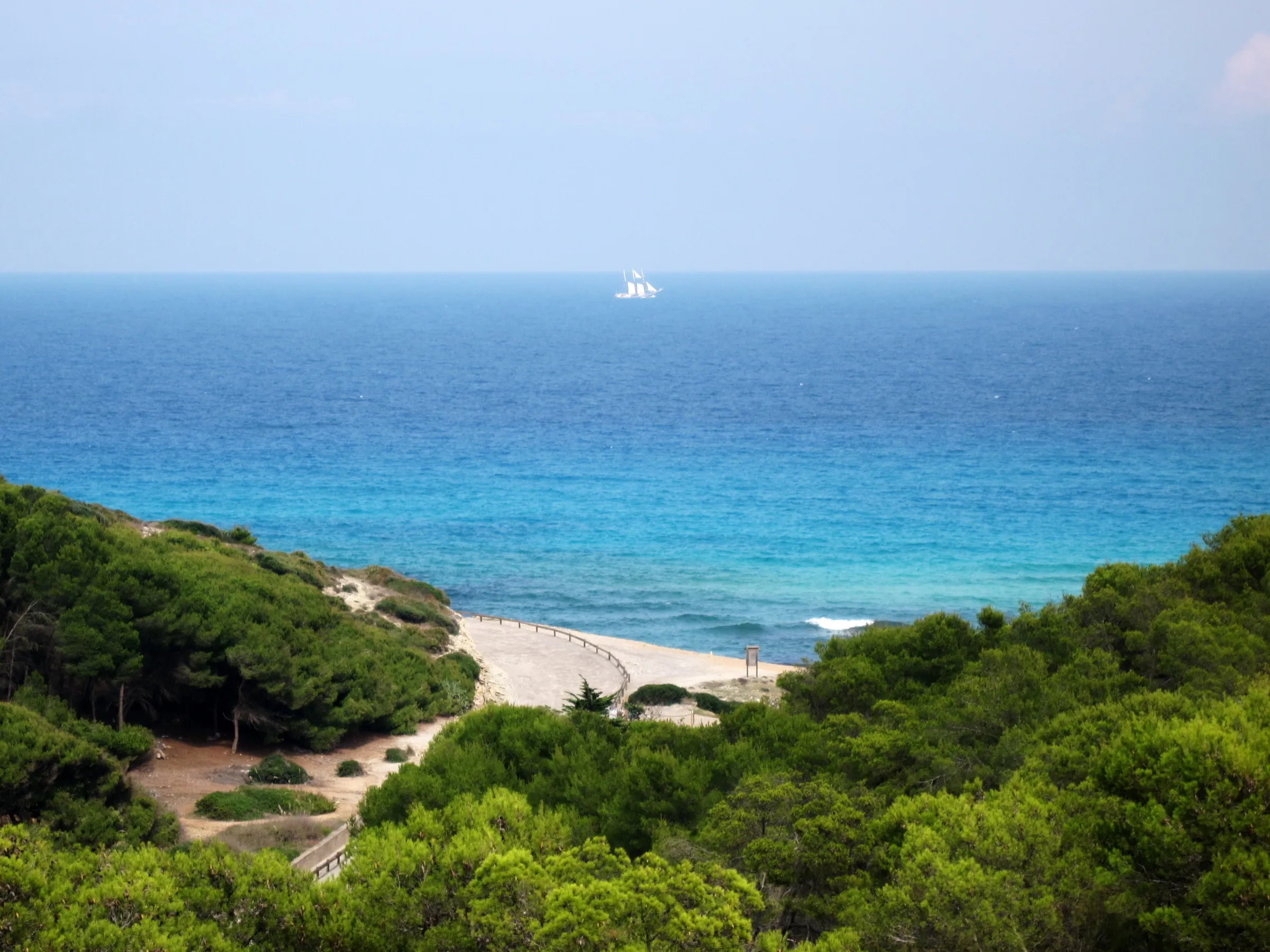 Vista hacia el mar abierto desde el pinar que baja a Cala Mitjana