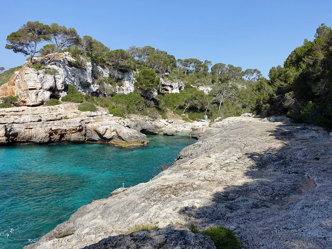 Losa de roca que baja hasta el agua turquesa en Cala s'Almunia, con pinos sobre el acantilado