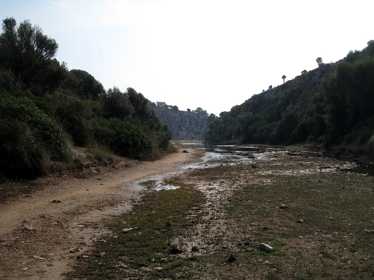 Camino junto al lecho del torrente de Cala Magraner, entre vegetación, camino de la playa